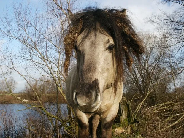 z1jysdi7msokyawp1emwghzse fotodijkm2013 12 08wandelingewijk