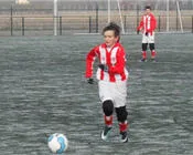 z7hpk7saytikno020mnquqwbj 43768