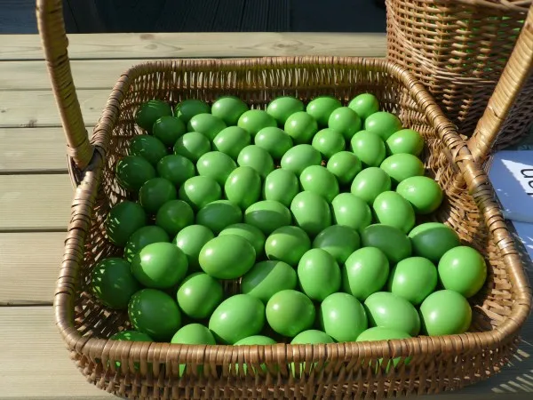 zge4v3o36zkyoft4aoqekcw3v 224481