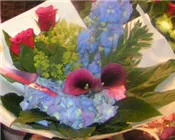 znjgtjgz4i9uwpzrmrqapooax 17372