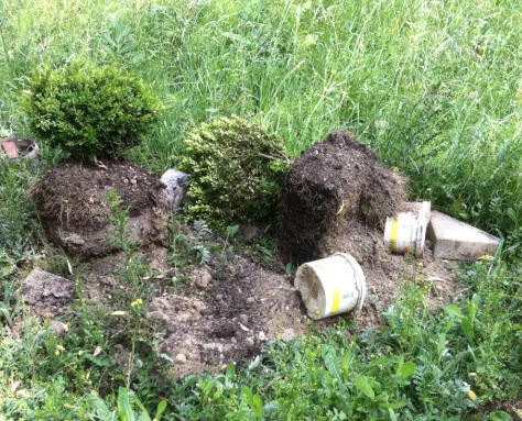 zz7xwv2xyrru4xpuc1kzvt2sd 68515