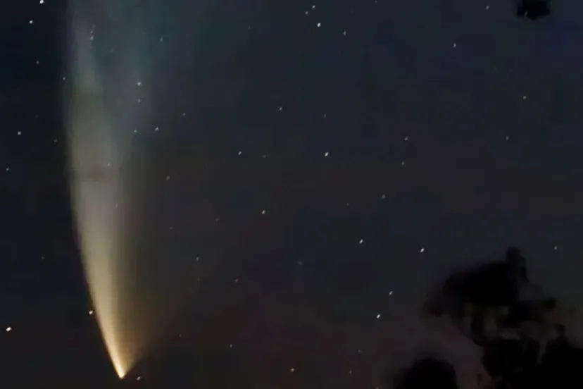 fir0002 flagstaffotos wikimedia 670aa79803704