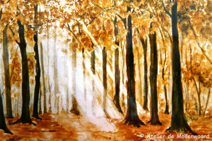 herfstbos atelier de mollenwaard
