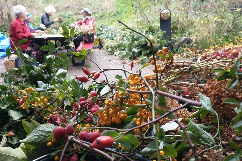 img 20221021 102344574