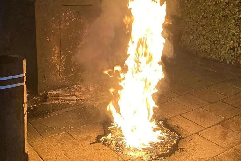 resized image 1200x800 1