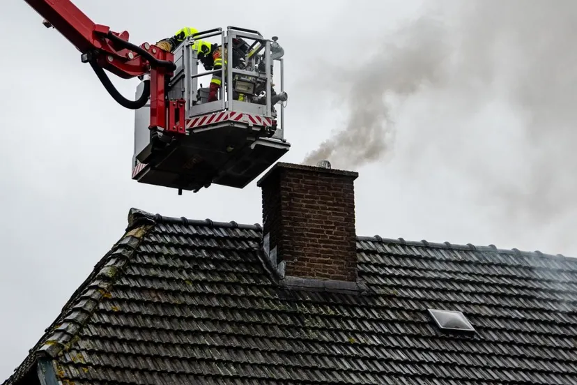 resized image 1200x800