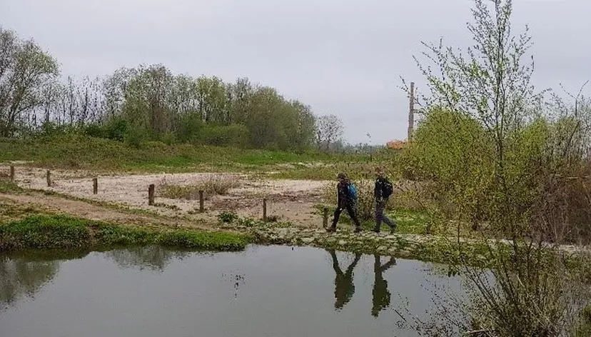 534c9c4f 33b4 4846 a2ae 8bbb7622cf9f