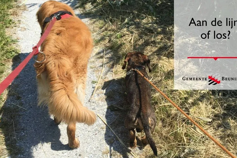 486754132 1080798180740785 931989058073776437 n