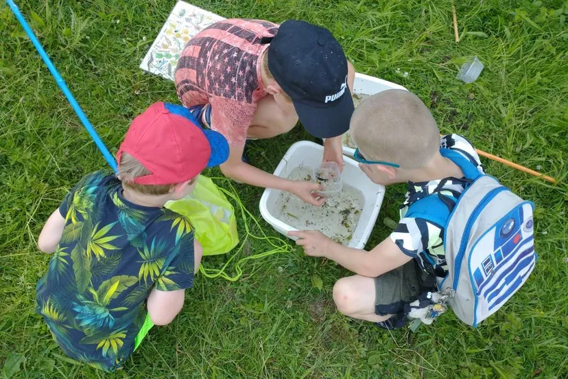 waterbeestjes 2 aangepast