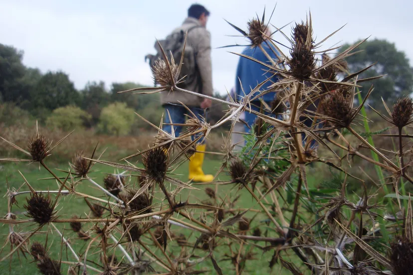 fotodijkmagazijn2016 06 08biowalkingmotiveet