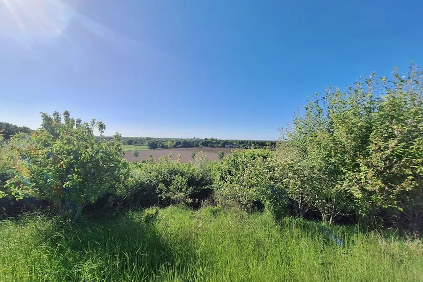 07b16020-8190-11f0-9922-811e50a27b78