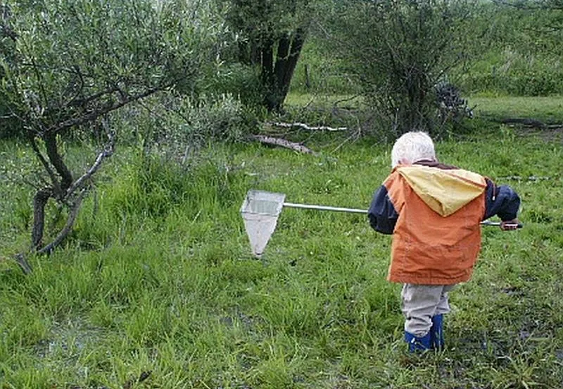 DijkmagazijnWaterbeestjes