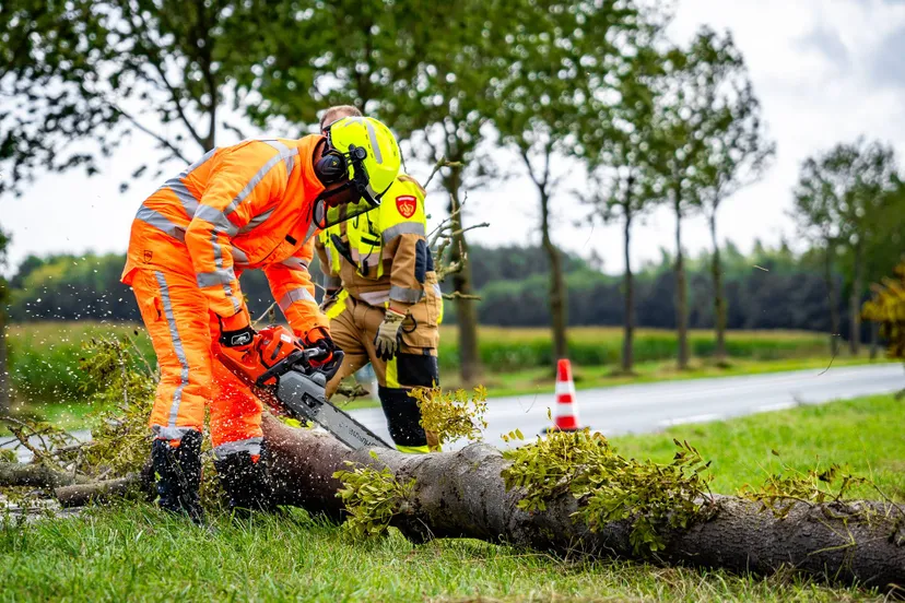 655eb529-ce8b-4f4e-aec1-05f1fb3ab85e