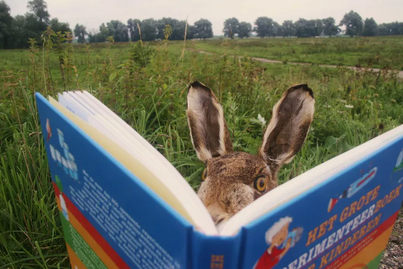 Kinderboekenweek2025