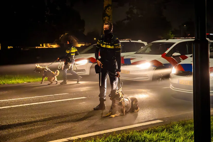 35a6a604-a237-4d52-9cf5-ddd2a4025fb9