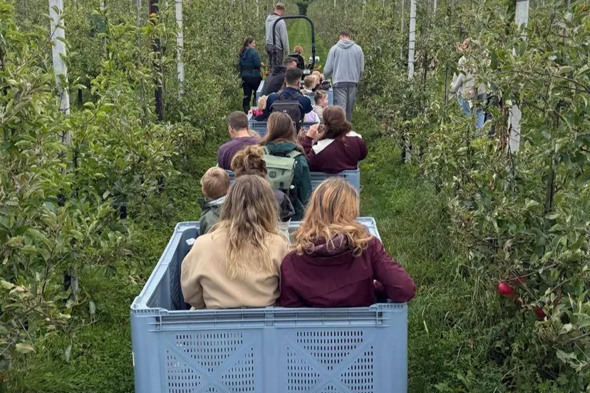 40c82dd5-841b-4f01-a3cc-98940b865bbf