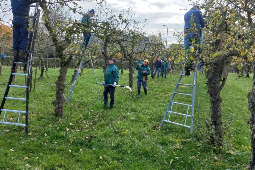 cee8b9bd-3be4-410e-ba06-a007215247a2