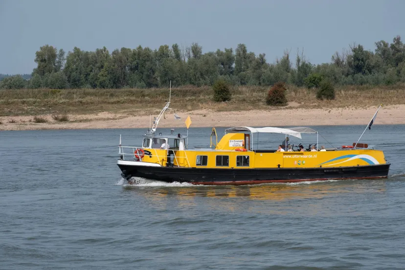 Uiterwaarde-075-klein