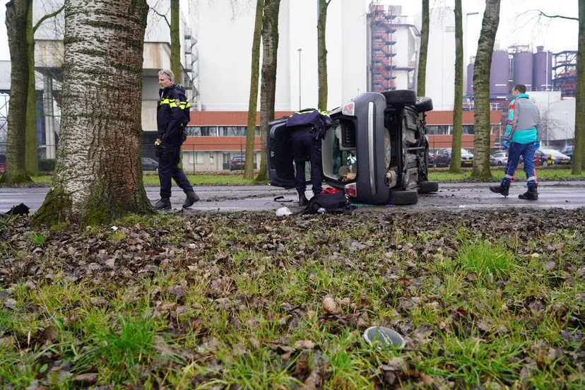 113d0180-b763-40d1-9050-92c918385406