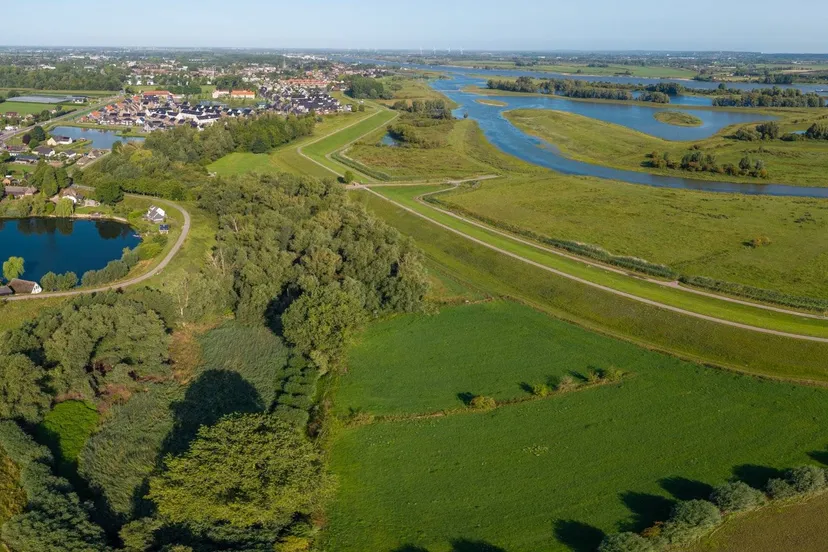 20250805-zwo_dijk_bij_afferden-14