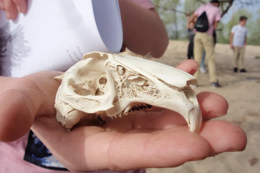 fotoDijkm2026-01-31Speurennaarsporen