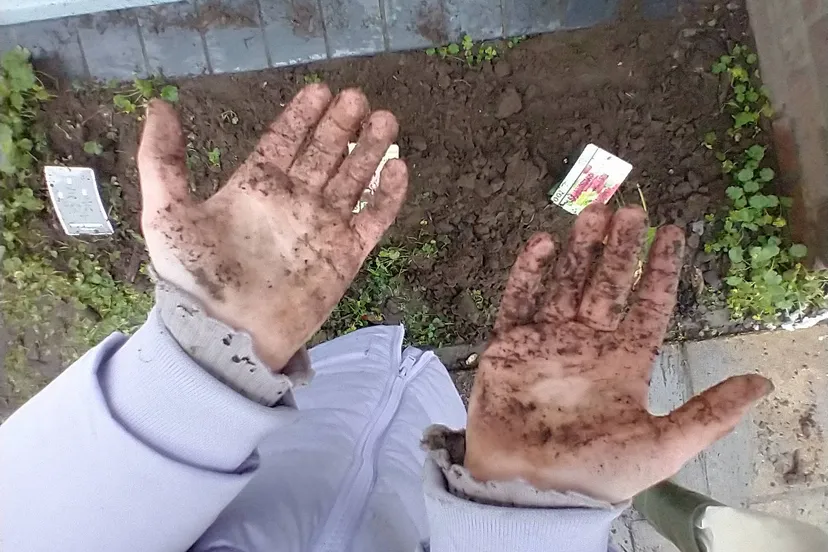 IMG_20241120_113126862