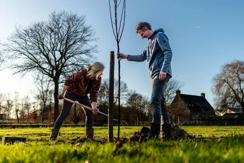 Afbeelding landschapsimpuls (foto ...)