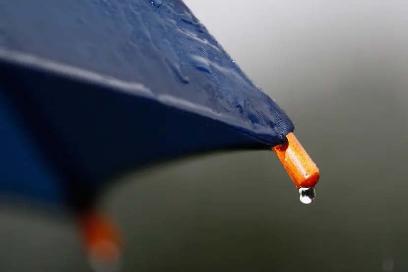 regen-piqsels