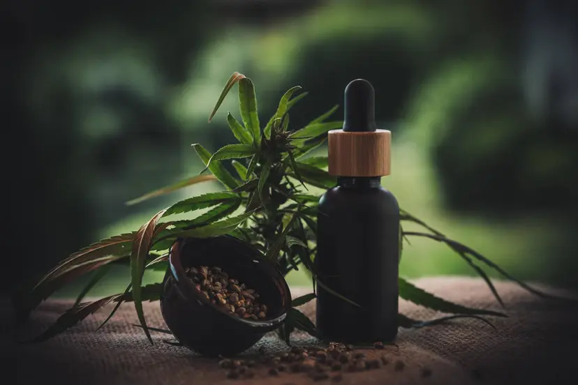 cbd-infos-com-cbd-ol-4470071_1920