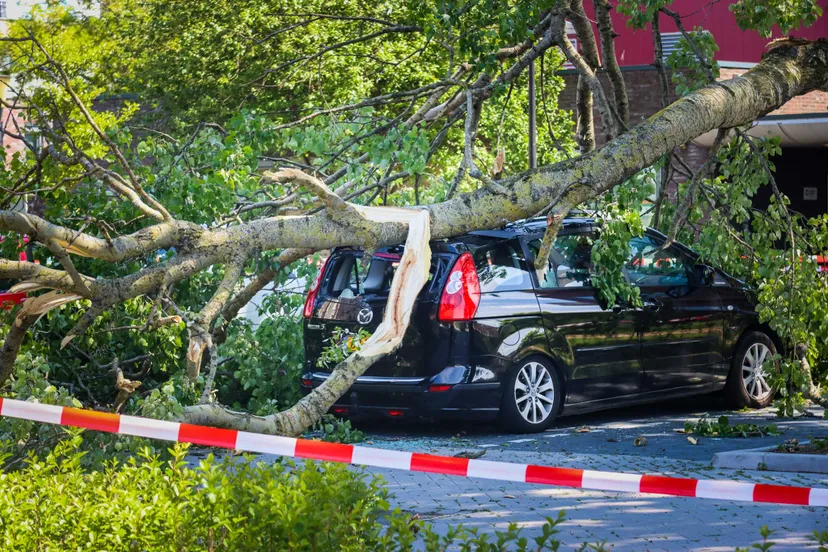 02 juni 2022 nieuwsfoto beverwijk 03