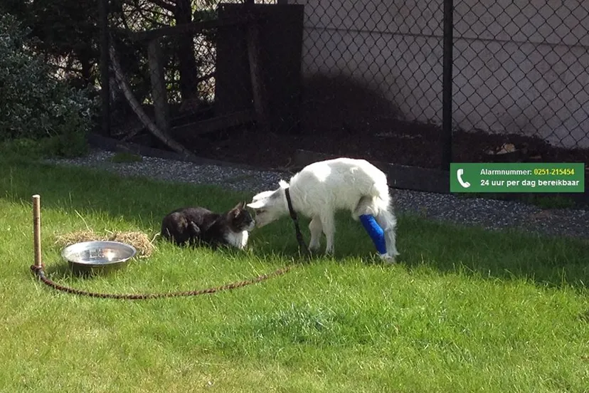 10374006 665338123544633 8631462173832839359 n