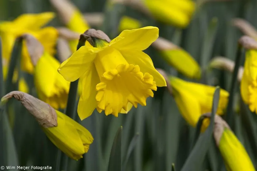 10421246 999447486733870 563140334976956362 n