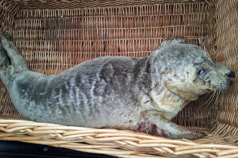 10459922 804668909611553 5458867419708904786 n