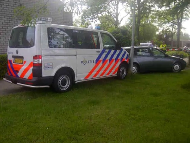 11209492 857924524295540 5135415420398782029 n 1