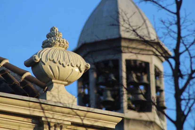 11229960 851583961577454 4058344523673422673 n