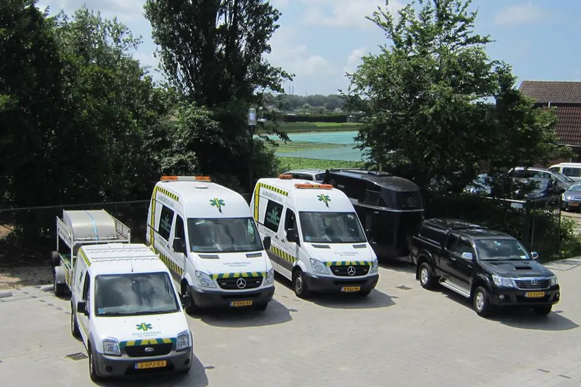 11754124 867851929959917 1159419443300953734 n