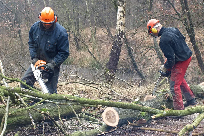 1220 7585706d3254fe0e74ecc9bcba7ae609