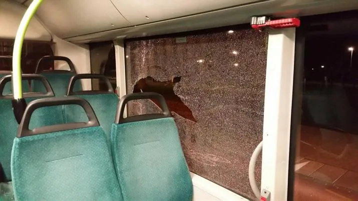 12378013 993312767423381 4827912931072605385 o banner