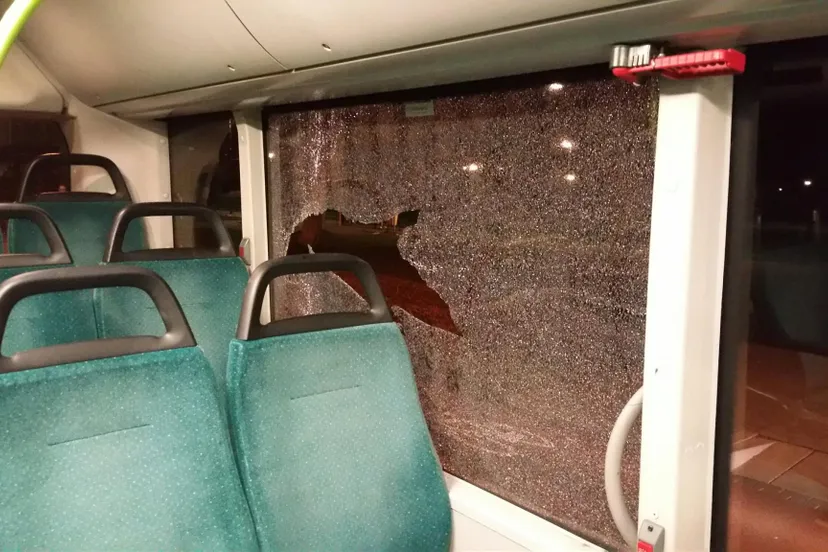 12378013 993312767423381 4827912931072605385 o