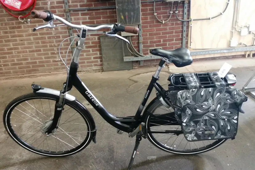 13528163 1052947081459949 6775234736536334634 o