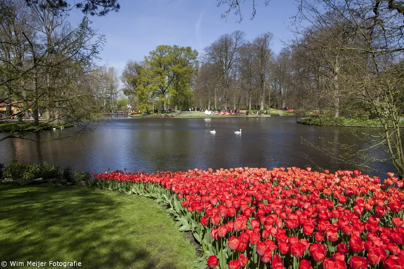 13786583753 6201b1cdf9 o