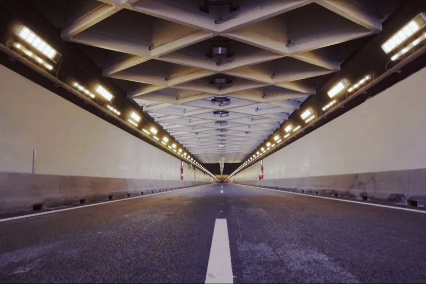 15195947 1541392675887714 1608584172497748113 o1