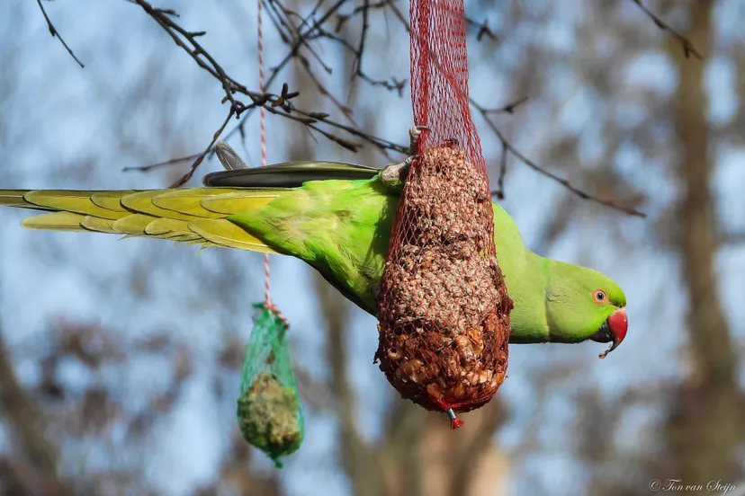 152700183 3650345565064683 9039761938744080471 o