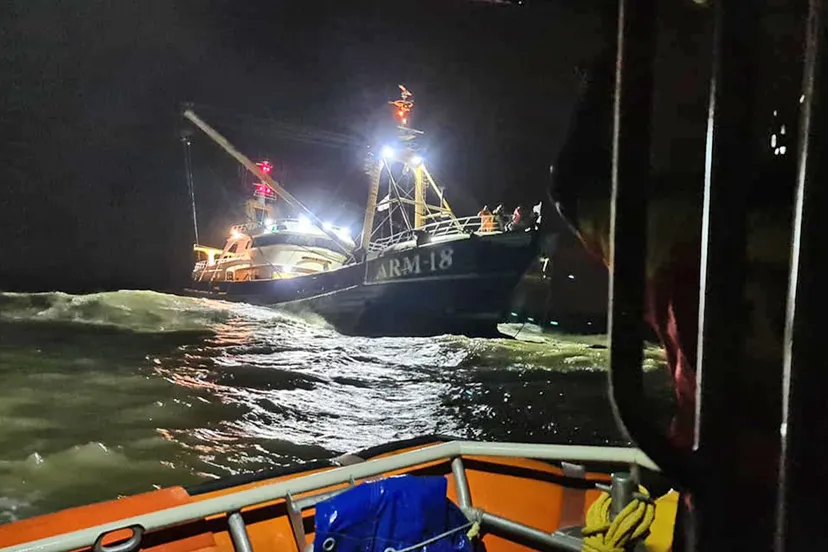 159786025 2181552771974725 5947485647306989215 o