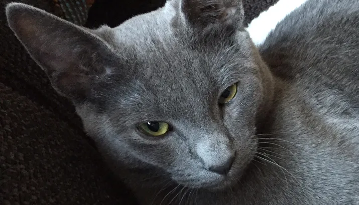 16260 wim hoofdbanner