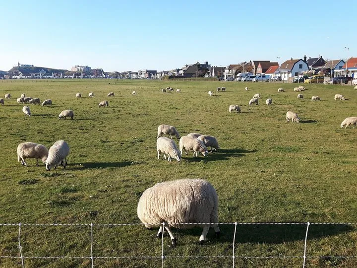 18192376 1080855335380854 5169121626802020012 o