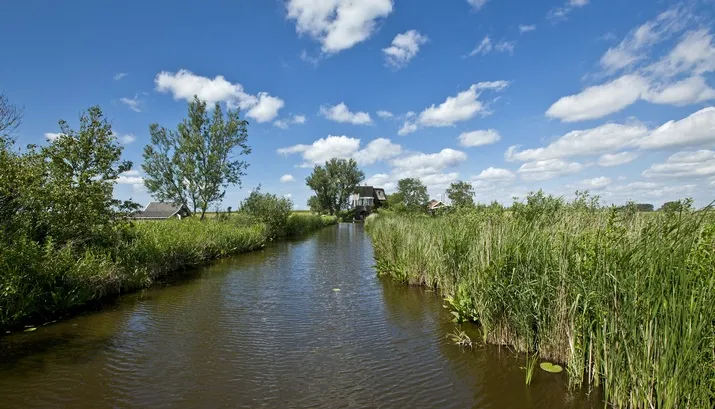 2012 zon excursie 26 dutchphoto kleiner banner