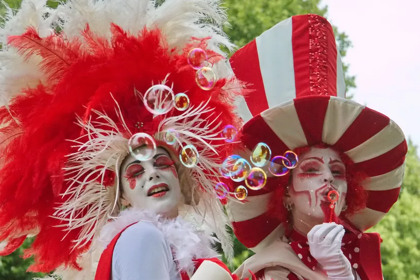 2014 zp heemskerk2014pwj 133