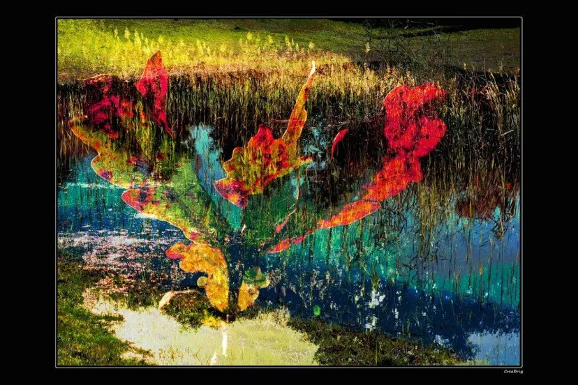 2015 jul aug brigitte nykar foto 2 1