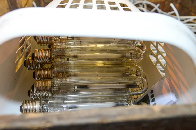 20150409 hennep 3693 1